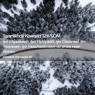 Picture 02 - Taariikhdii Kowaad 12:6 SOM - iyo Elqaanaah, iyo Yishiyaah, iyo Casareel, iyo - Bible Verse Picture