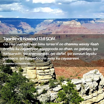 Picture 02 - Taariikhdii Kowaad 13:8 SOM - Oo Daa'uud iyo reer binu Israa'iil oo dhammu - Bible Verse Picture