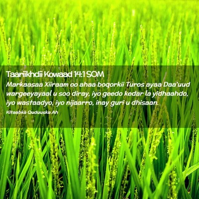 Picture 02 - Taariikhdii Kowaad 14:1 SOM - Markaasaa Xiiraam oo ahaa boqorkii Turos ayaa - Bible Verse Picture