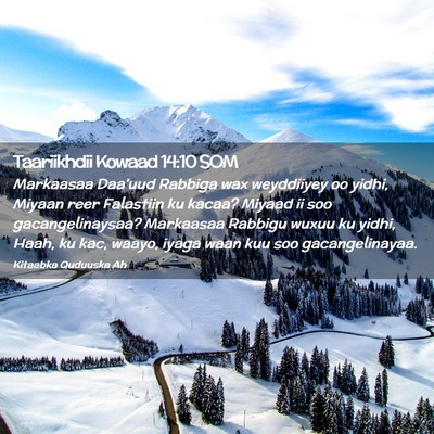 Picture 02 - Taariikhdii Kowaad 14:10 SOM - Markaasaa Daa'uud Rabbiga wax weyddiiyey oo - Bible Verse Picture