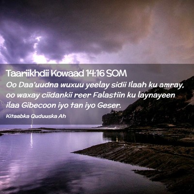 Picture 02 - Taariikhdii Kowaad 14:16 SOM - Oo Daa'uudna wuxuu yeelay sidii Ilaah ku amray, - Bible Verse Picture