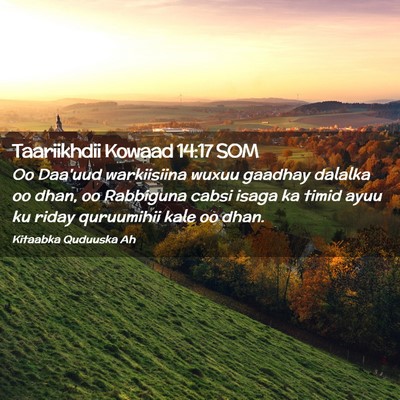 Picture 02 - Taariikhdii Kowaad 14:17 SOM - Oo Daa'uud warkiisiina wuxuu gaadhay dalalka oo - Bible Verse Picture