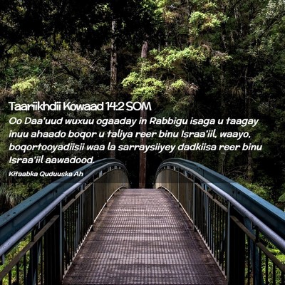 Picture 02 - Taariikhdii Kowaad 14:2 SOM - Oo Daa'uud wuxuu ogaaday in Rabbigu isaga u - Bible Verse Picture