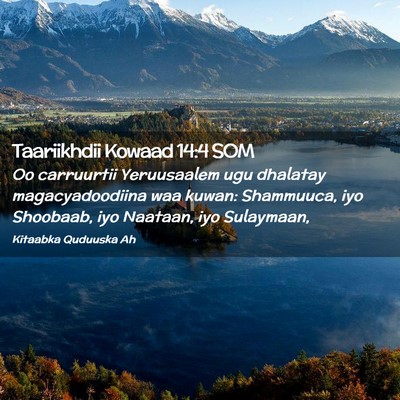 Picture 02 - Taariikhdii Kowaad 14:4 SOM - Oo carruurtii Yeruusaalem ugu dhalatay - Bible Verse Picture
