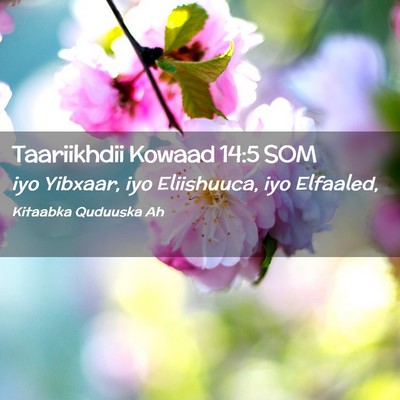 Picture 02 - Taariikhdii Kowaad 14:5 SOM - iyo Yibxaar, iyo Eliishuuca, iyo - Bible Verse Picture