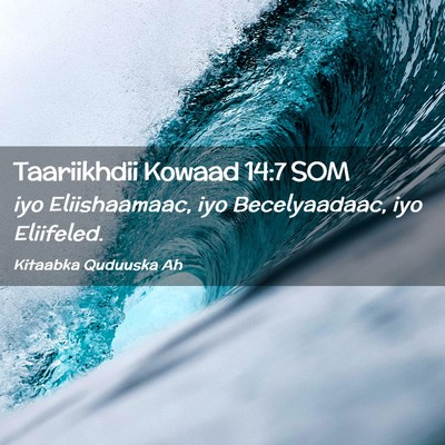 Picture 02 - Taariikhdii Kowaad 14:7 SOM - iyo Eliishaamaac, iyo Becelyaadaac, iyo - Bible Verse Picture