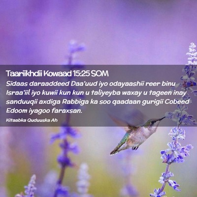 Picture 02 - Taariikhdii Kowaad 15:25 SOM - Sidaas daraaddeed Daa'uud iyo odayaashii reer - Bible Verse Picture