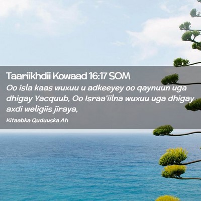 Picture 02 - Taariikhdii Kowaad 16:17 SOM - Oo isla kaas wuxuu u adkeeyey oo qaynuun uga - Bible Verse Picture