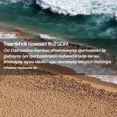 Picture 02 - Taariikhdii Kowaad 16:2 SOM - Oo Daa'uudna markuu dhammeeyey qurbaankii la - Bible Verse Picture