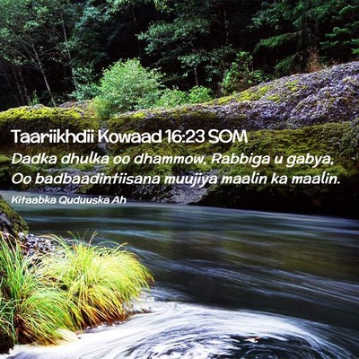 Picture 02 - Taariikhdii Kowaad 16:23 SOM - Dadka dhulka oo dhammow, Rabbiga u gabya, Oo - Bible Verse Picture