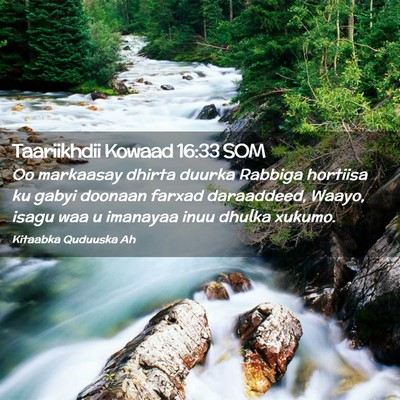Picture 02 - Taariikhdii Kowaad 16:33 SOM - Oo markaasay dhirta duurka Rabbiga hortiisa ku - Bible Verse Picture