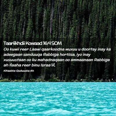 Picture 02 - Taariikhdii Kowaad 16:4 SOM - Oo kuwii reer Laawi qaarkoodna wuxuu u doortay - Bible Verse Picture
