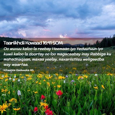 Picture 02 - Taariikhdii Kowaad 16:41 SOM - Oo wuxuu kaloo la reebay Heemaan iyo Yeduutuun - Bible Verse Picture