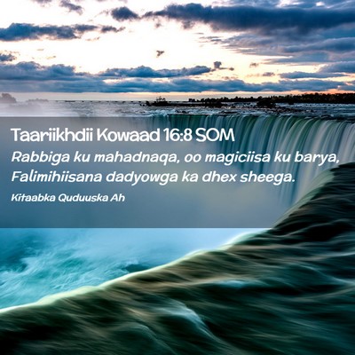 Picture 02 - Taariikhdii Kowaad 16:8 SOM - Rabbiga ku mahadnaqa, oo magiciisa ku barya, - Bible Verse Picture