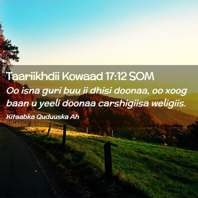 Picture 02 - Taariikhdii Kowaad 17:12 SOM - Oo isna guri buu ii dhisi doonaa, oo xoog baan u - Bible Verse Picture