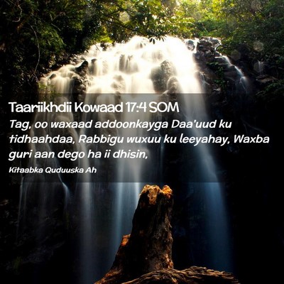 Picture 02 - Taariikhdii Kowaad 17:4 SOM - Tag, oo waxaad addoonkayga Daa'uud ku tidhaahdaa, - Bible Verse Picture