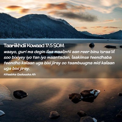 Picture 02 - Taariikhdii Kowaad 17:5 SOM - waayo, guri ma degin ilaa maalintii aan reer binu - Bible Verse Picture