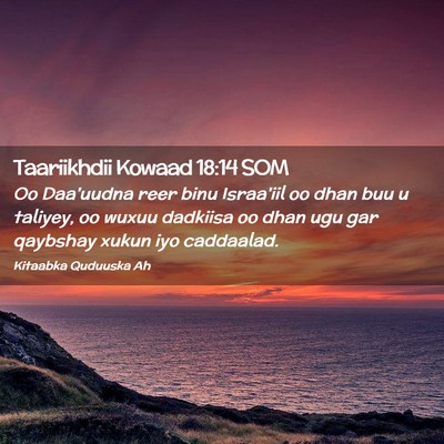 Picture 02 - Taariikhdii Kowaad 18:14 SOM - Oo Daa'uudna reer binu Israa'iil oo dhan buu u - Bible Verse Picture