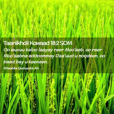 Picture 02 - Taariikhdii Kowaad 18:2 SOM - Oo wuxuu kaloo laayay reer Moo'aab, oo reer - Bible Verse Picture