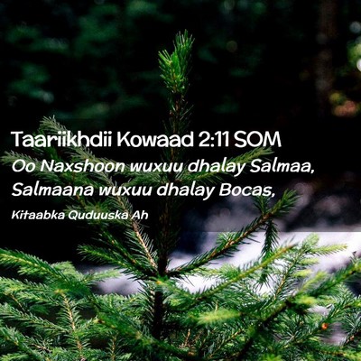 Picture 02 - Taariikhdii Kowaad 2:11 SOM - Oo Naxshoon wuxuu dhalay Salmaa, Salmaana wuxuu - Bible Verse Picture