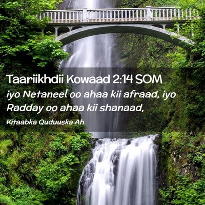 Picture 02 - Taariikhdii Kowaad 2:14 SOM - iyo Netaneel oo ahaa kii afraad, iyo Radday oo - Bible Verse Picture