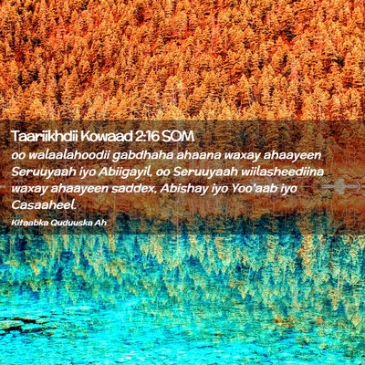 Picture 02 - Taariikhdii Kowaad 2:16 SOM - oo walaalahoodii gabdhaha ahaana waxay ahaayeen - Bible Verse Picture