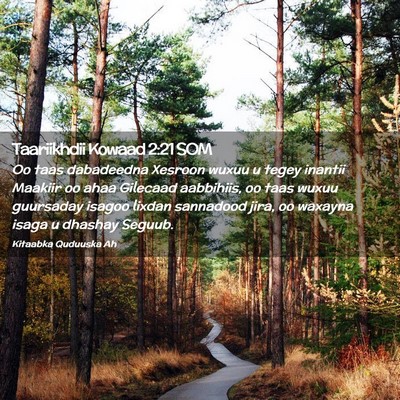 Picture 02 - Taariikhdii Kowaad 2:21 SOM - Oo taas dabadeedna Xesroon wuxuu u tegey inantii - Bible Verse Picture