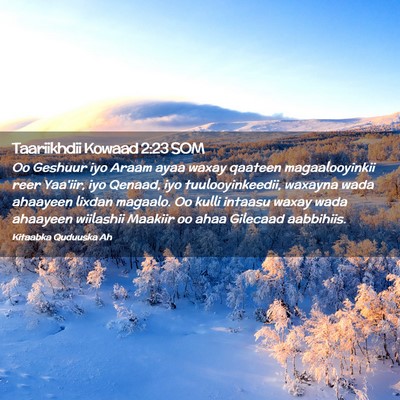 Picture 02 - Taariikhdii Kowaad 2:23 SOM - Oo Geshuur iyo Araam ayaa waxay qaateen - Bible Verse Picture