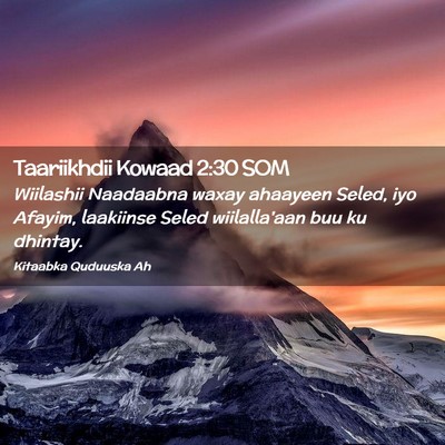 Picture 02 - Taariikhdii Kowaad 2:30 SOM - Wiilashii Naadaabna waxay ahaayeen Seled, iyo - Bible Verse Picture