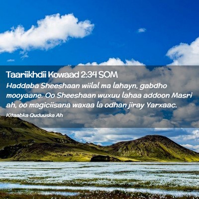 Picture 02 - Taariikhdii Kowaad 2:34 SOM - Haddaba Sheeshaan wiilal ma lahayn, gabdho - Bible Verse Picture