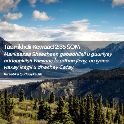 Picture 02 - Taariikhdii Kowaad 2:35 SOM - Markaasaa Sheeshaan gabadhiisii u guuriyey - Bible Verse Picture