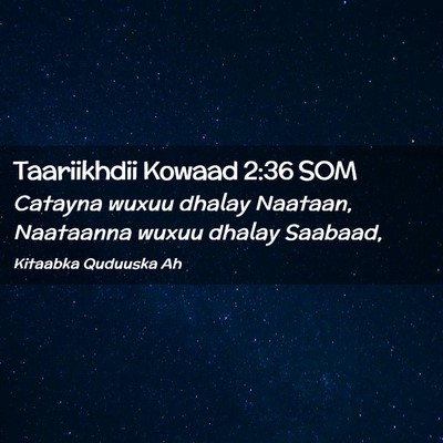 Picture 02 - Taariikhdii Kowaad 2:36 SOM - Catayna wuxuu dhalay Naataan, Naataanna wuxuu - Bible Verse Picture