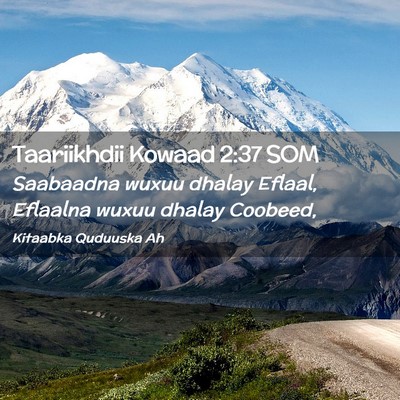 Picture 02 - Taariikhdii Kowaad 2:37 SOM - Saabaadna wuxuu dhalay Eflaal, Eflaalna wuxuu - Bible Verse Picture