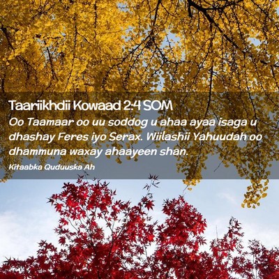 Picture 02 - Taariikhdii Kowaad 2:4 SOM - Oo Taamaar oo uu soddog u ahaa ayaa isaga u - Bible Verse Picture
