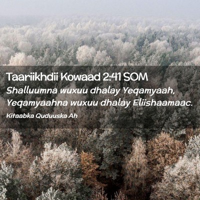 Picture 02 - Taariikhdii Kowaad 2:41 SOM - Shalluumna wuxuu dhalay Yeqamyaah, Yeqamyaahna - Bible Verse Picture
