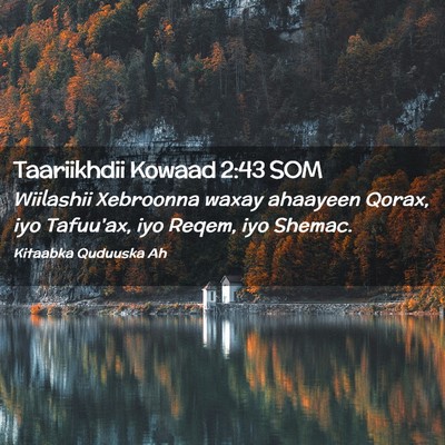 Picture 02 - Taariikhdii Kowaad 2:43 SOM - Wiilashii Xebroonna waxay ahaayeen Qorax, iyo - Bible Verse Picture