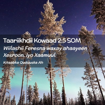 Picture 02 - Taariikhdii Kowaad 2:5 SOM - Wiilashii Feresna waxay ahaayeen Xesroon, iyo - Bible Verse Picture