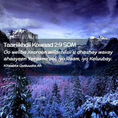 Picture 02 - Taariikhdii Kowaad 2:9 SOM - Oo weliba Xesroon wiilashiisii u dhashay waxay - Bible Verse Picture