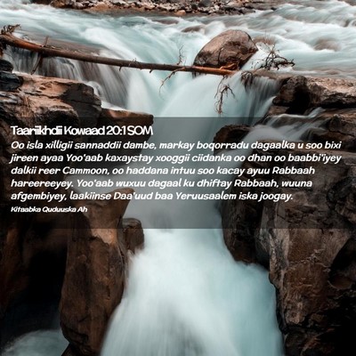 Picture 02 - Taariikhdii Kowaad 20:1 SOM - Oo isla xilligii sannaddii dambe, markay - Bible Verse Picture