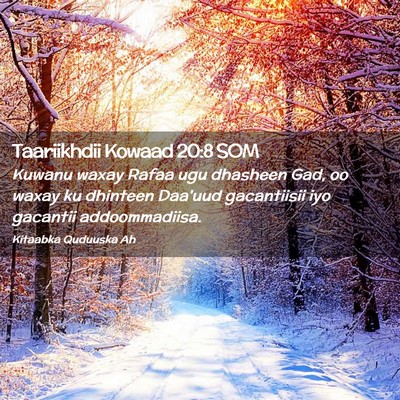 Picture 02 - Taariikhdii Kowaad 20:8 SOM - Kuwanu waxay Rafaa ugu dhasheen Gad, oo waxay ku - Bible Verse Picture