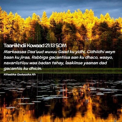 Picture 02 - Taariikhdii Kowaad 21:13 SOM - Markaasaa Daa'uud wuxuu Gaad ku yidhi, Cidhiidhi - Bible Verse Picture