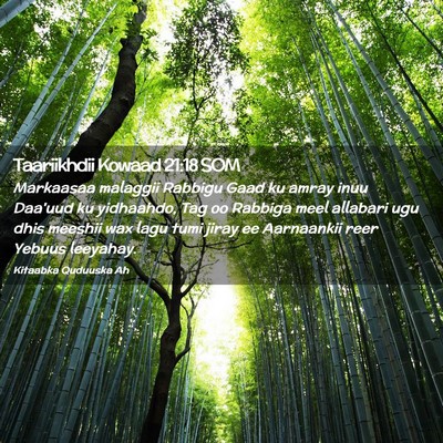 Picture 02 - Taariikhdii Kowaad 21:18 SOM - Markaasaa malaggii Rabbigu Gaad ku amray inuu - Bible Verse Picture