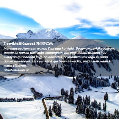 Picture 02 - Taariikhdii Kowaad 21:23 SOM - Markaasaa Aarnaan wuxuu Daa'uud ku yidhi, Boqorow - Bible Verse Picture