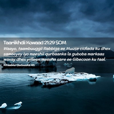 Picture 02 - Taariikhdii Kowaad 21:29 SOM - Waayo, taambuuggii Rabbiga ee Muuse cidlada ku - Bible Verse Picture