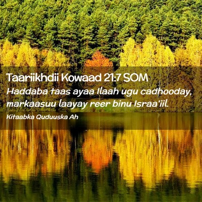 Picture 02 - Taariikhdii Kowaad 21:7 SOM - Haddaba taas ayaa Ilaah ugu cadhooday, markaasuu - Bible Verse Picture