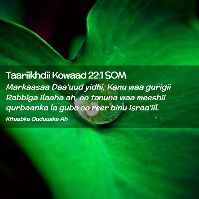 Picture 02 - Taariikhdii Kowaad 22:1 SOM - Markaasaa Daa'uud yidhi, Kanu waa gurigii Rabbiga - Bible Verse Picture