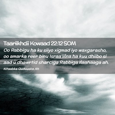 Picture 02 - Taariikhdii Kowaad 22:12 SOM - Oo Rabbigu ha ku siiyo xigmad iyo waxgarasho, oo - Bible Verse Picture