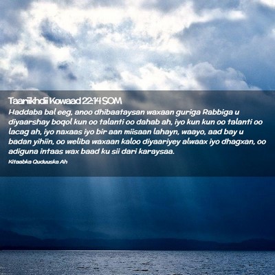 Picture 02 - Taariikhdii Kowaad 22:14 SOM - Haddaba bal eeg, anoo dhibaataysan waxaan guriga - Bible Verse Picture