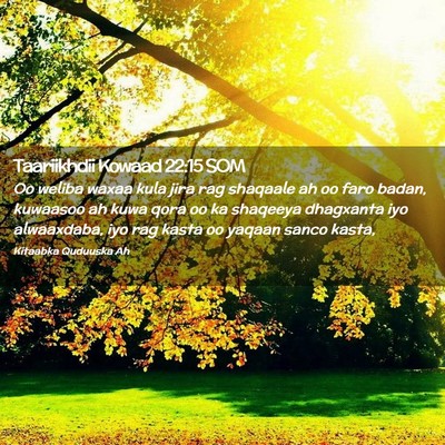 Picture 02 - Taariikhdii Kowaad 22:15 SOM - Oo weliba waxaa kula jira rag shaqaale ah oo faro - Bible Verse Picture