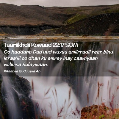 Picture 02 - Taariikhdii Kowaad 22:17 SOM - Oo haddana Daa'uud wuxuu amiirradii reer binu - Bible Verse Picture